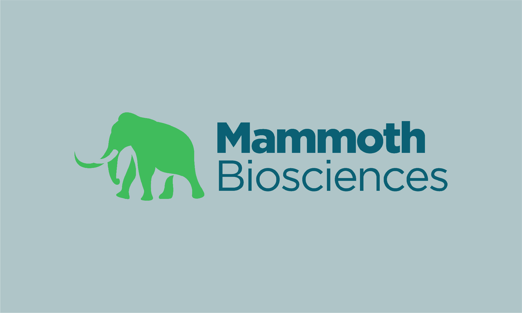 Mammoth Biosciences Raises $195 Million to Build Next-Generation CRISPR Products in Therapeutics and Diagnostics