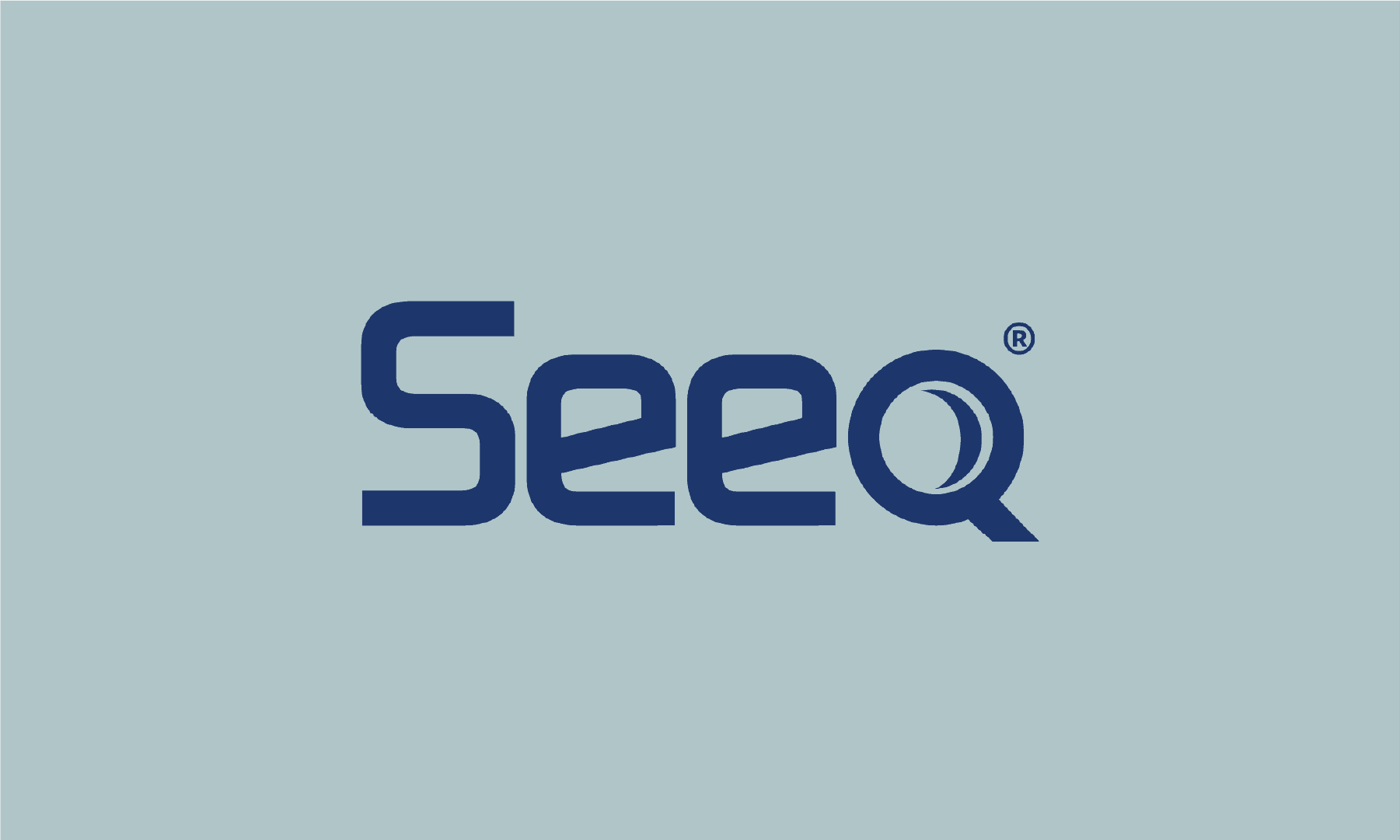 Seeq Announces $50 million Series D Funding Round led by Sixth Street Growth