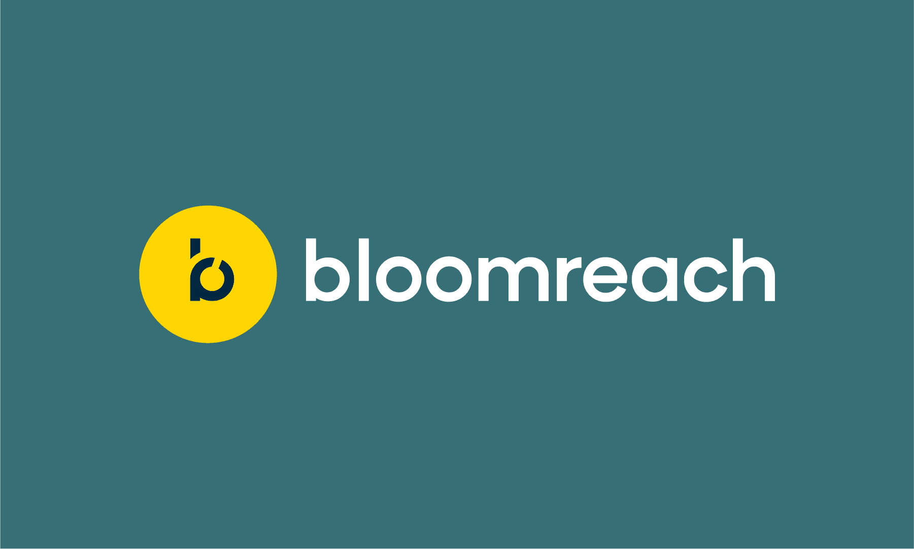 Bloomreach Poised to be the Next E-commerce SaaS Unicorn